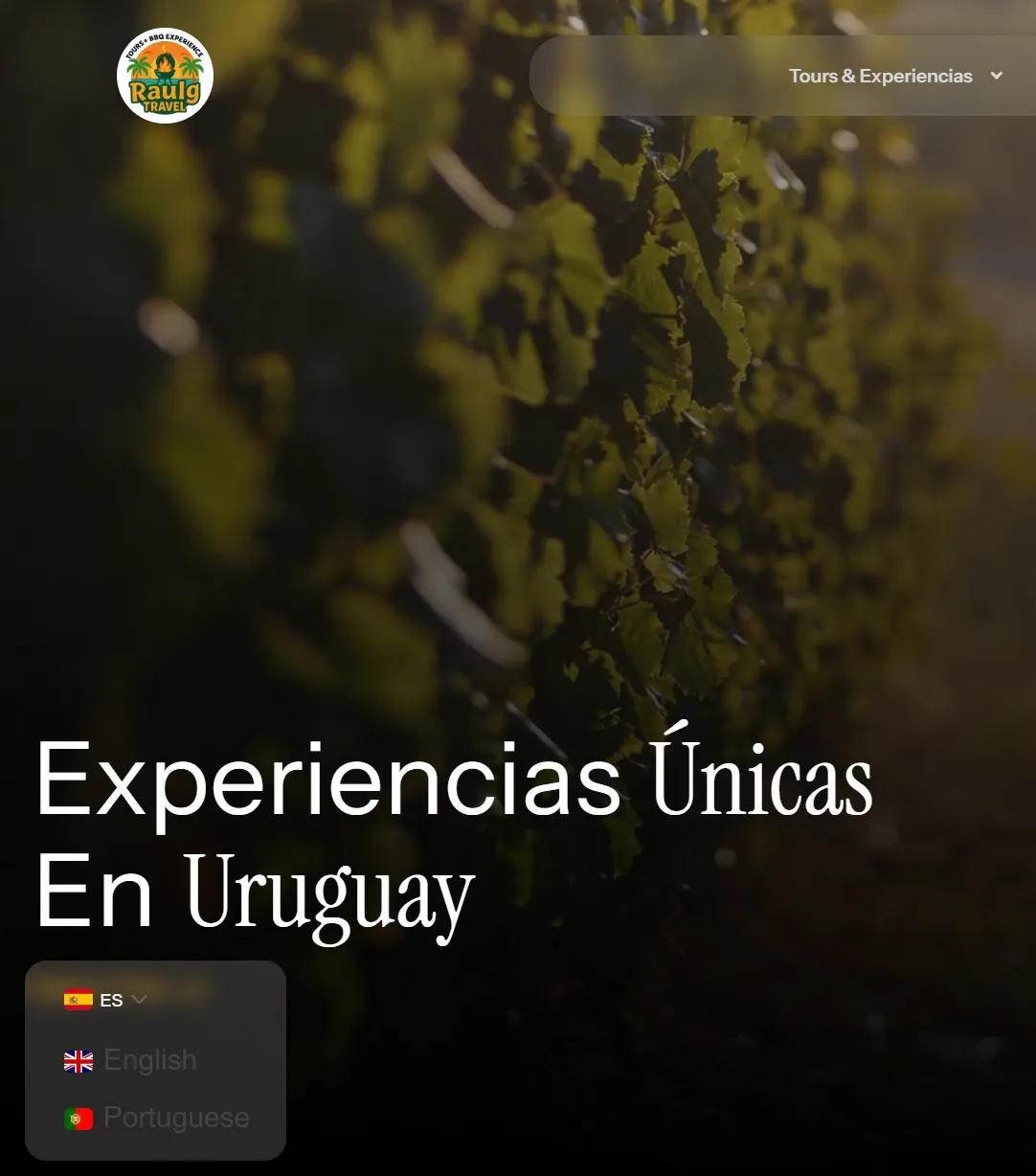 Captura de pantalla 2025-11-18 220531